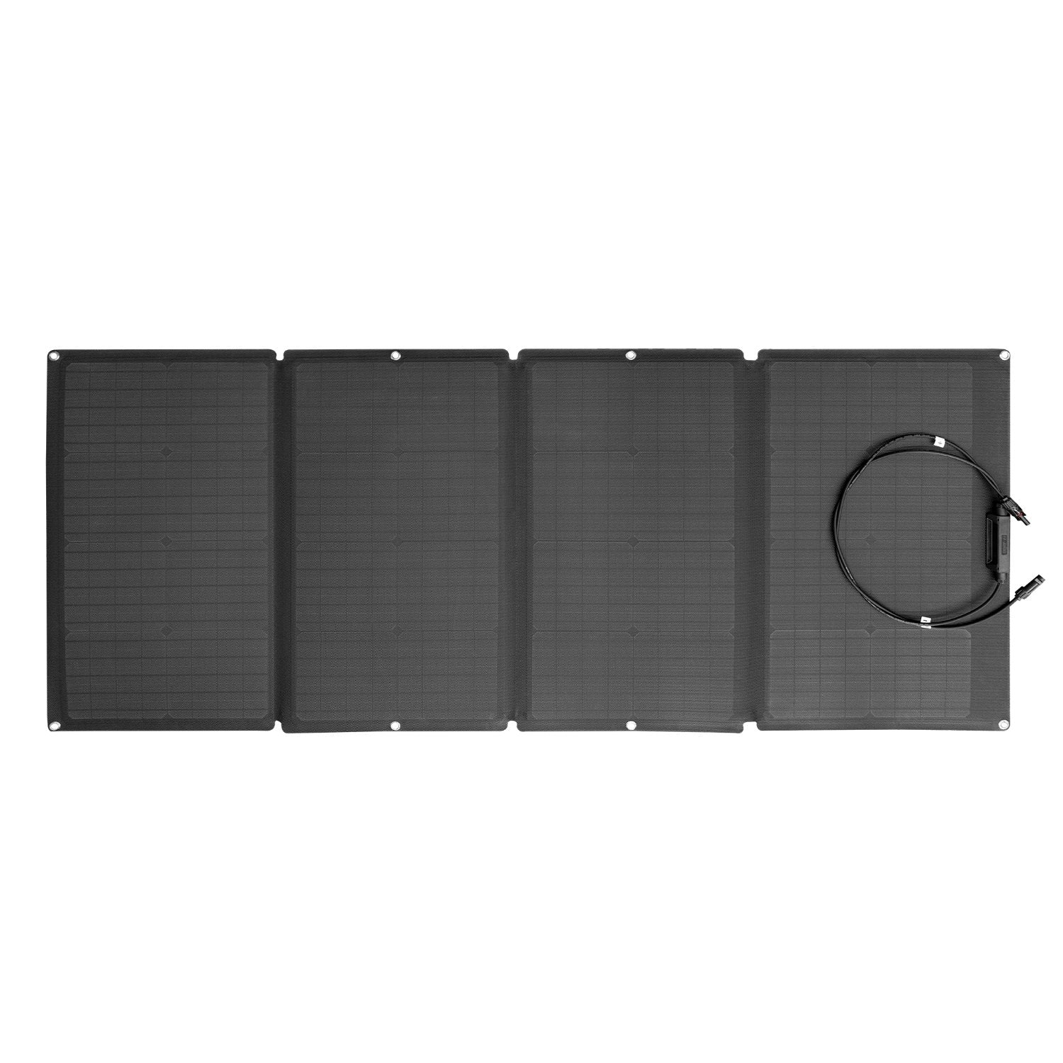 EcoFlow 160W Solar Panel Foldable