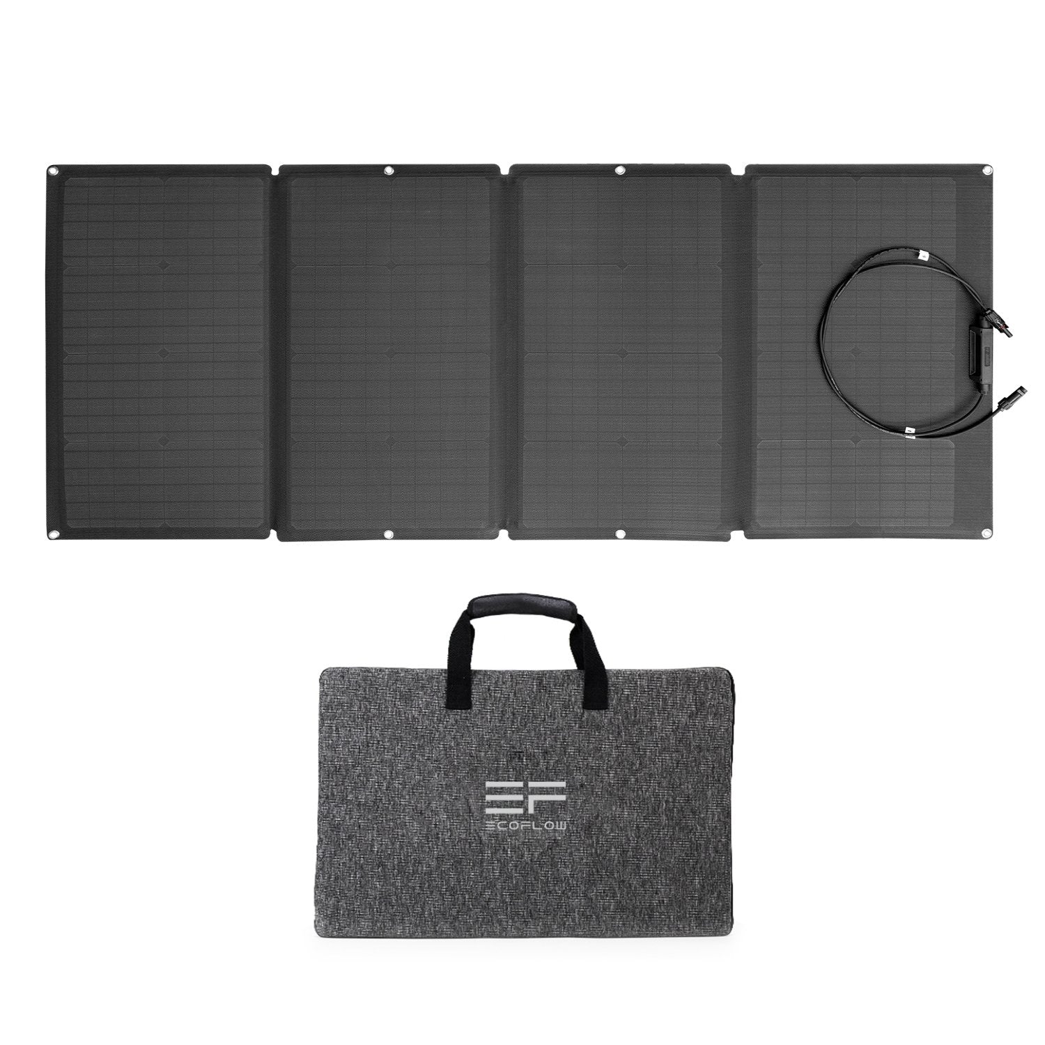 EcoFlow 160W Solar Panel Foldable